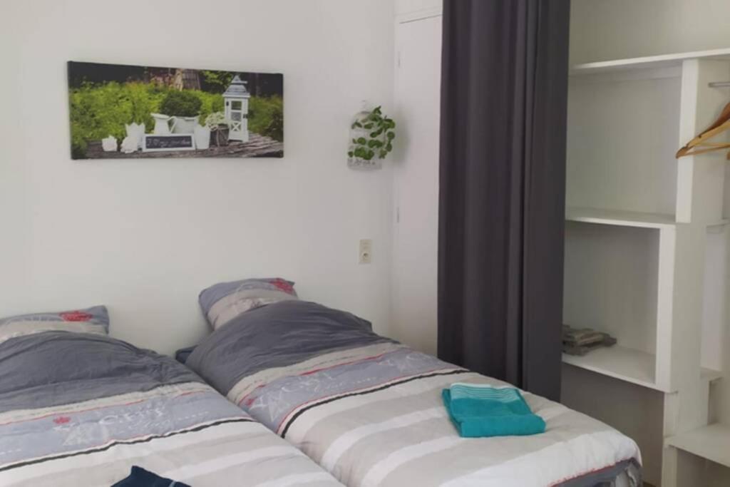 12 Rdc Appartement 2 Chambres Jardin Terrasse Ploneour-Lanvern Екстер'єр фото